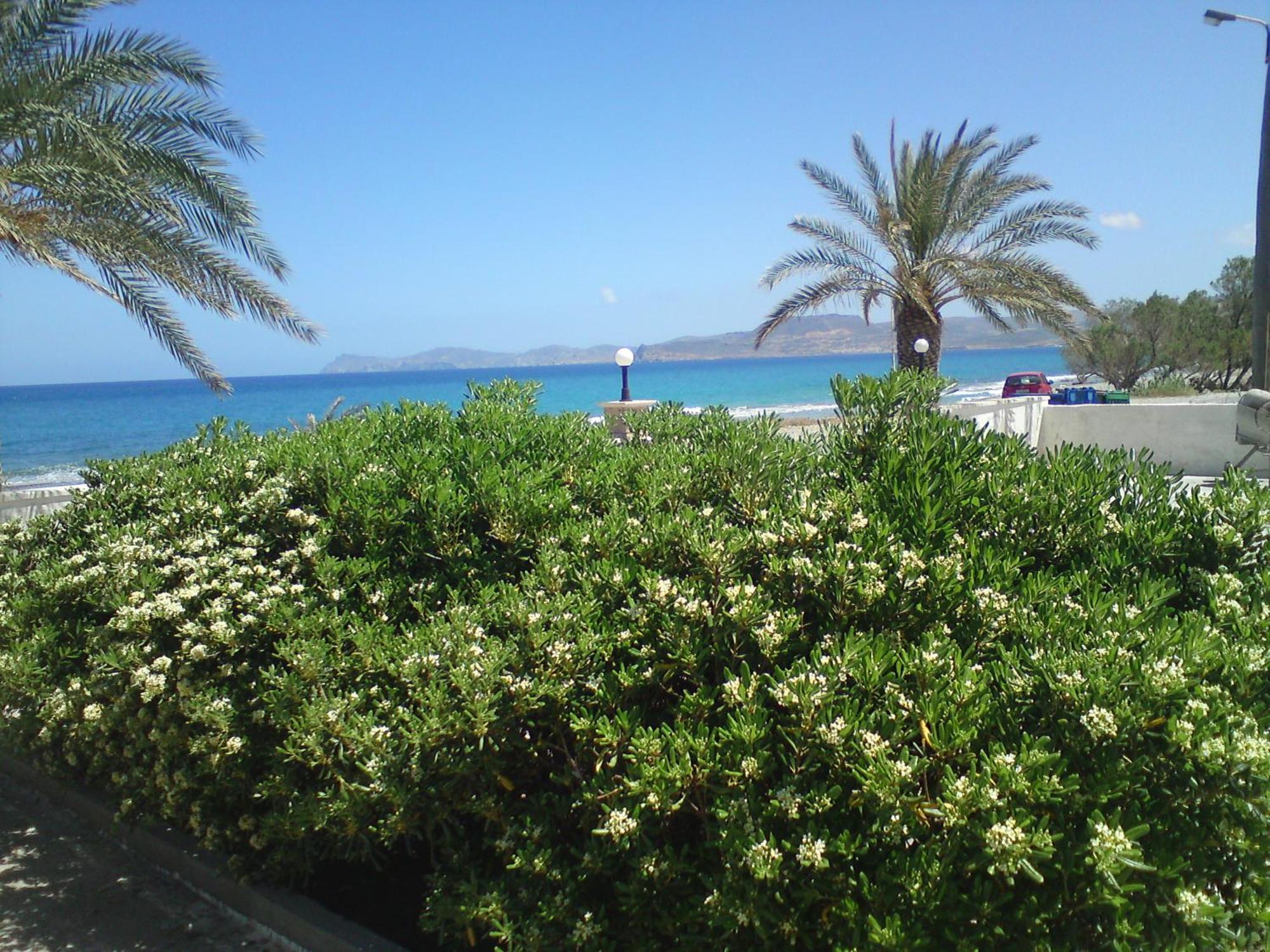 סיטייה Hotel Petras Beach מראה חיצוני תמונה