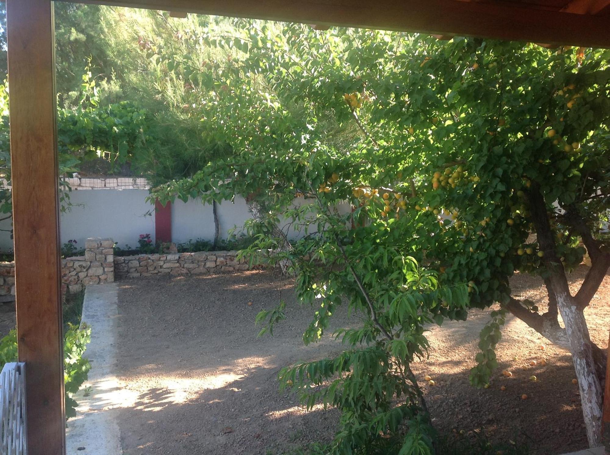 סיטייה Hotel Petras Beach מראה חיצוני תמונה