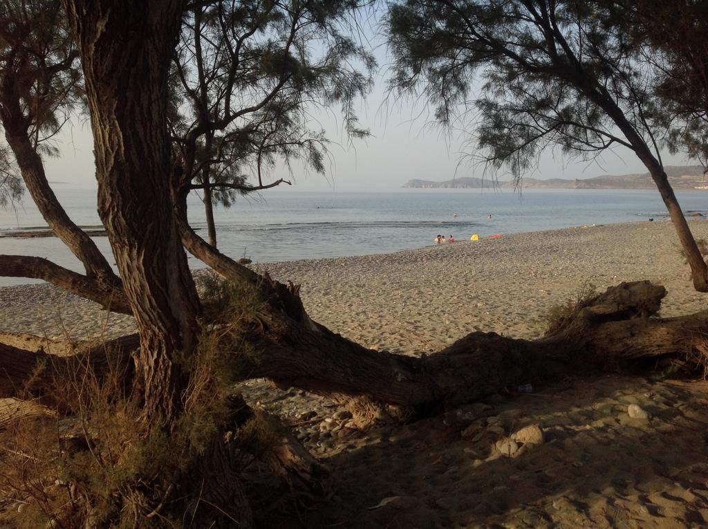 סיטייה Hotel Petras Beach מראה חיצוני תמונה
