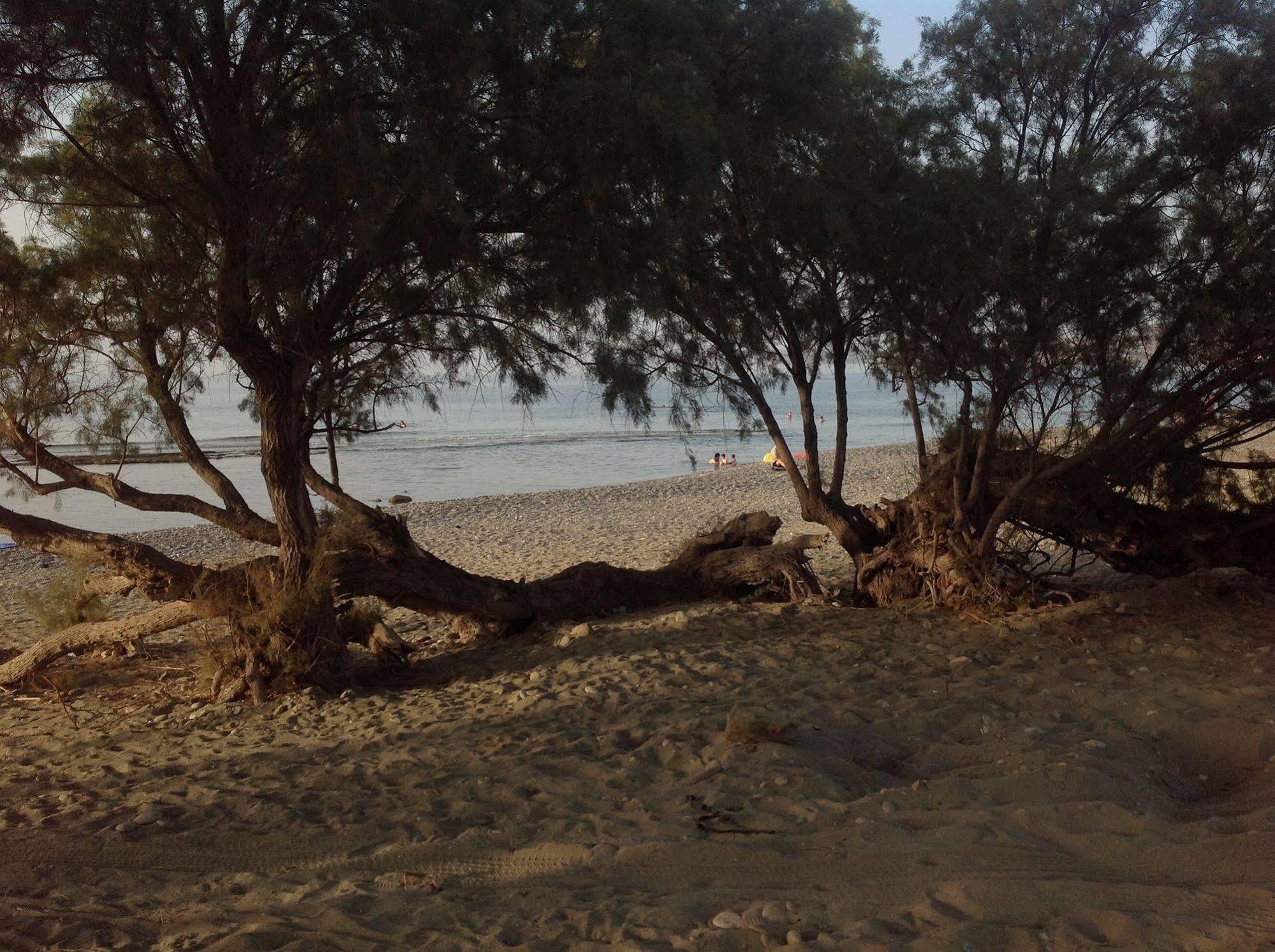 סיטייה Hotel Petras Beach מראה חיצוני תמונה