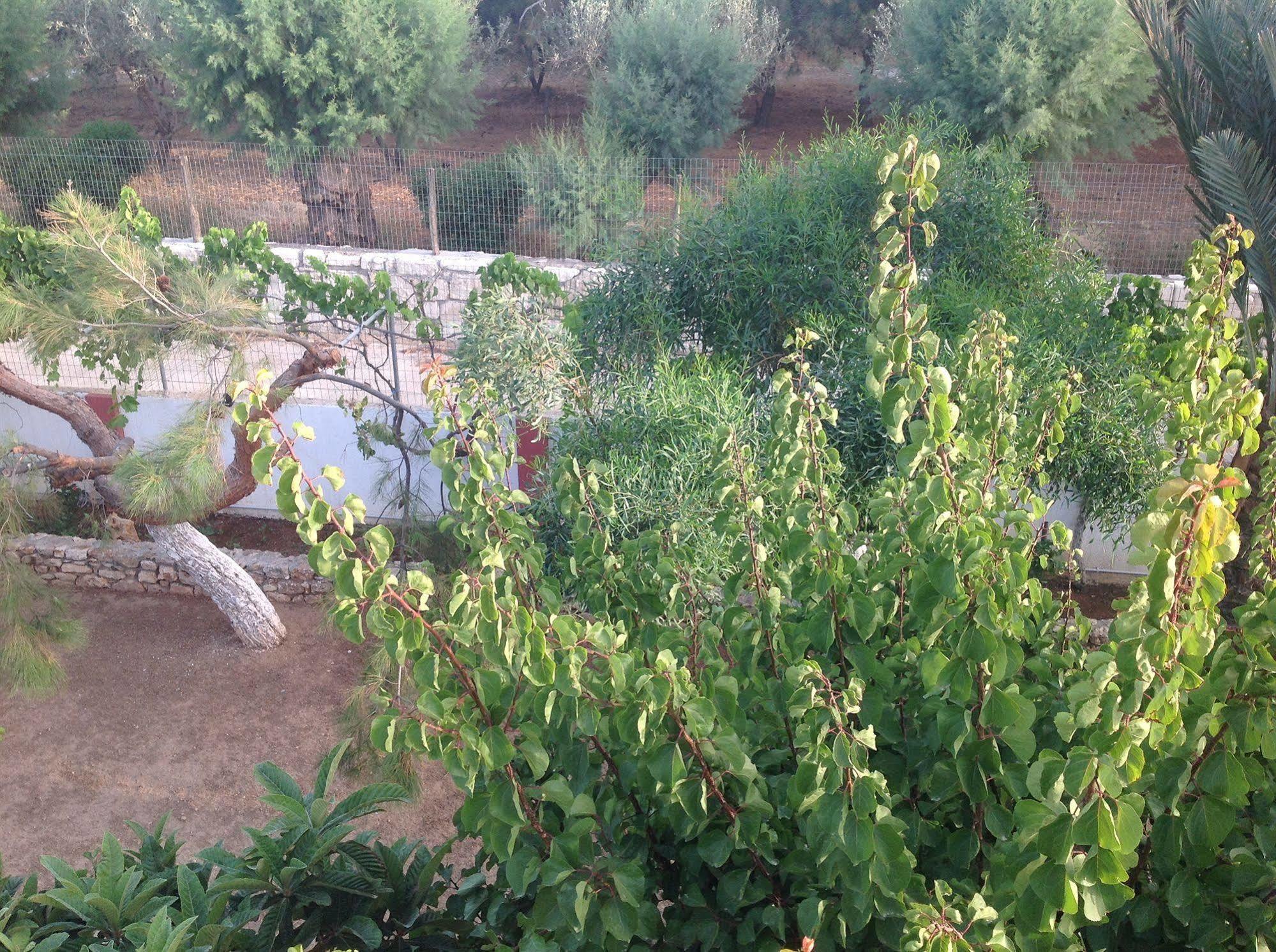 סיטייה Hotel Petras Beach מראה חיצוני תמונה